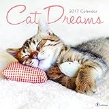 Cat Dreams 2017 Calendar by