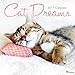 Cat Dreams 2017 Calendar by