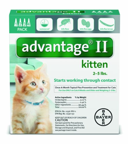 Advantage 2 Kitten