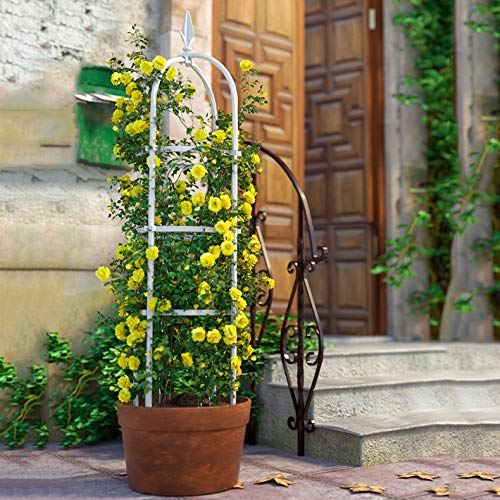 CJSWT 180cm Garten Obelisken Trellis, Rankhilfe Rankgerüst Kletterpflanzen, Trellis Unterstützung Metallrahmen, Outdoor… – Bild 4