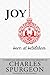Joy Born At Bethlehem: 19 Christmas Sermons from the Ministry of Charles Spurgeon by Charles Spurgeon, Ray Pritchard