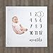 Premium Mink Fleece Baby Milestone Blanket for Newborn, Infant, Boys & Girls - Bonus Monthly Floral Wreath