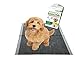 Bamboo Dog Training Pads by The Green Pet Shop – 100 Count, Super Absorbent Pads with Prolonged Odor Control – Ideal Puppy Training Pads or Incontinence Pads for Senior Pets – 22 x 23 Inches