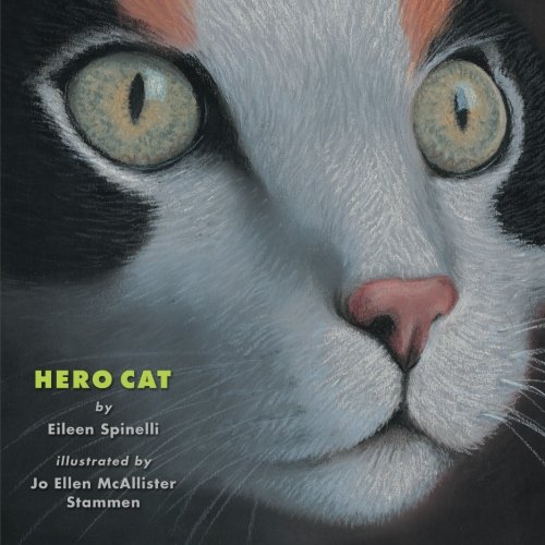 Hero Cat
