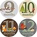 Woodland Critters Monthly Baby Bodysuit Stickers