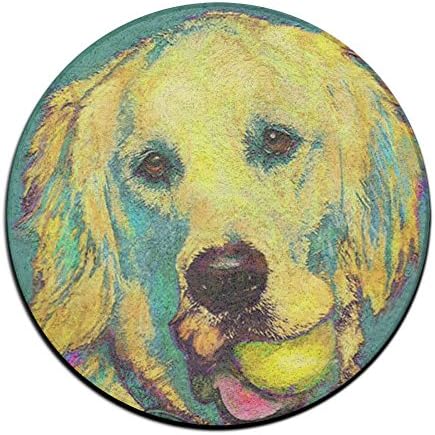 YOCHOPRO New Style Three Hundred Fifty Fourth Retrieve Art Indoor/Outdoor Doormat Door Mat Decor Rug Non Slip Mats