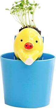 Ez Life Diy Grow Your Own Grass Table Plants - Yellow Chick With Cup (1 Pc)