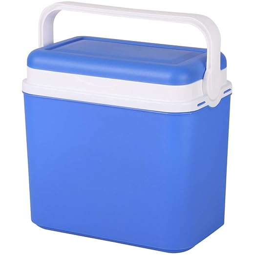 Promobo - Nevera isotérmica de transporte con asa de plástico 10 L ...