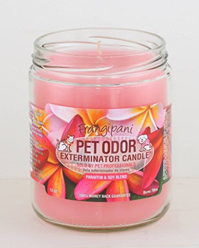 Pet Odor Exterminator Candle, Frangipani,13 oz