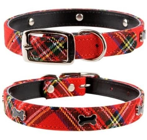 best hydraulic grooming table