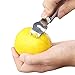 Gaiatop Lemon Zester Grater with Channel Knife and Hanging Loop Stainless Steel
