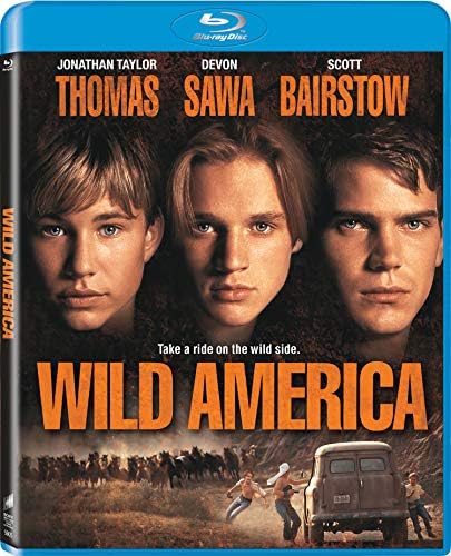Amazon.com: Into The Wild : Emile Hirsch, Vince Vaughn, Catherine
