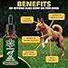 Beyond Bliss Hemp Oil for Dogs & Cats - 650 milligrams - Joint Pain - Separation Anxiety - Chronic Pain Relief - Organic & Natural - Anti-Inflammatory - Grown & Made in USA - Omega 3, 6, 9