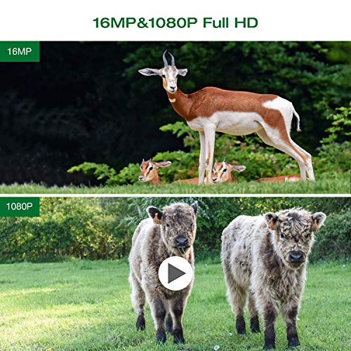 2 TOGUARD+Waterproof+Wildlife+Monitoring+Observation