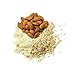 Breville BPB625BAL1BCA1 Boss to Go Plus Personal Blender, 25 oz, Silver