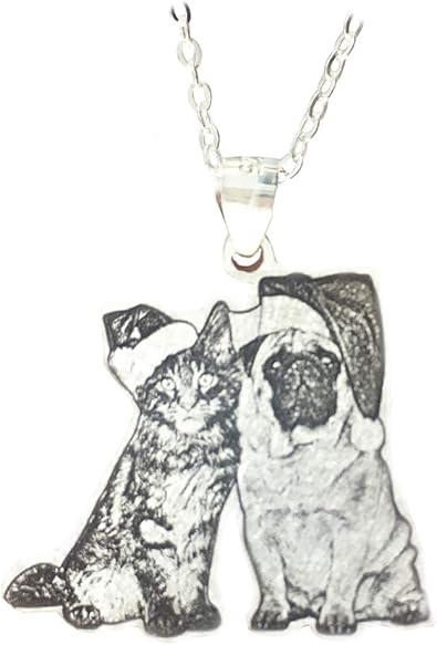 49 Best Images Personalized Pet Photo Necklace Amazon ...