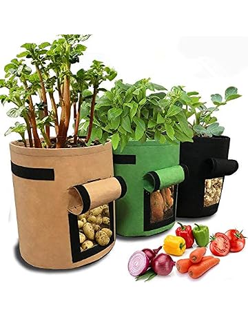 Bolsas para plantas | Amazon.es