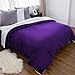 Bedsure GentleSoft Sherpa Fleece Blankets Queen Size for Bed - Thick and Warm Throw Gifts for Women and Girls, Soft Fuzzy Plush Queen Christmas Blanket for Winter, Purple, 90x90 Inches
