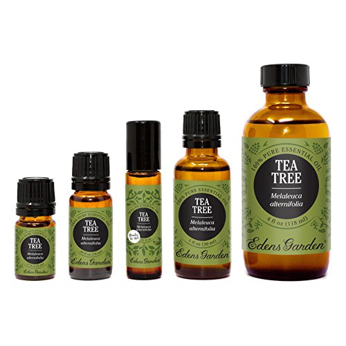 Edens Garden Tea Tree Essential Oil, 100 Pure Therapeutic Grade