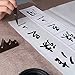 Teagas Chinese Calligraphy Sumi Set Brush Writing/Painting Set for Chinese Calligraphy Lovers