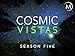 Cosmic Vistas