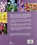 Image de Pintar acuarelas de flores a partir de fotografías