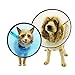 DOGSWELL Remedy and Recovery E-Collar, X-Large, Colors Vary (Packaging May Vary)