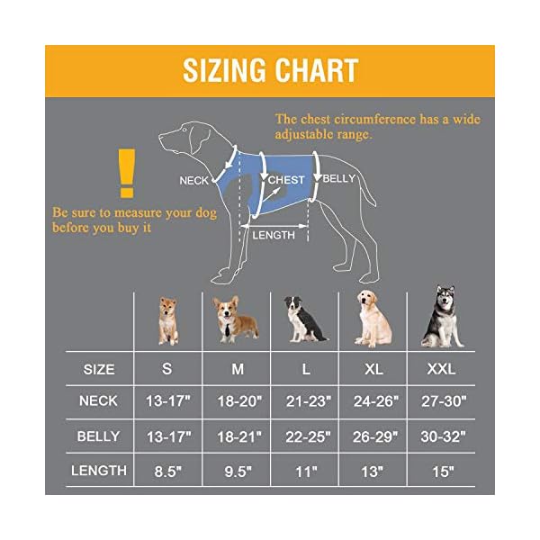 Coodeo Dog Lift Harness Support Recovery Sling Pet Rehabilitation Lifts Vest Adjustable Breathable Straps For Old Yourtopdog