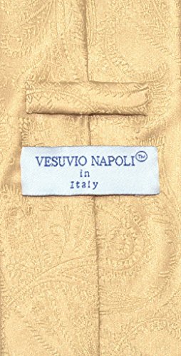 Vesuvio Napoli NeckTie GOLD Color Paisley Design Men's Neck Tie