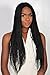 WOW BRAIDS Braided Wigs, Micro Million Braid Wig - Color 1 - 22 Inches. Synthetic Hand Braided Wigs for Black Women.