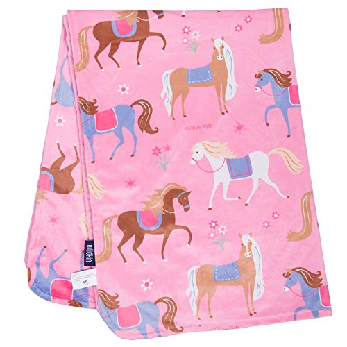 image for Wildkin Plush Throw Blanket for Toddler Boys and Girls, Super Soft and
