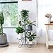unho Tall Metal Plant Stand: 5 Tiered Flower Pot Rack with Square Shelves Indoor Display Storage Holder for Patio Garden Balcony Livingroom Decor (Black)