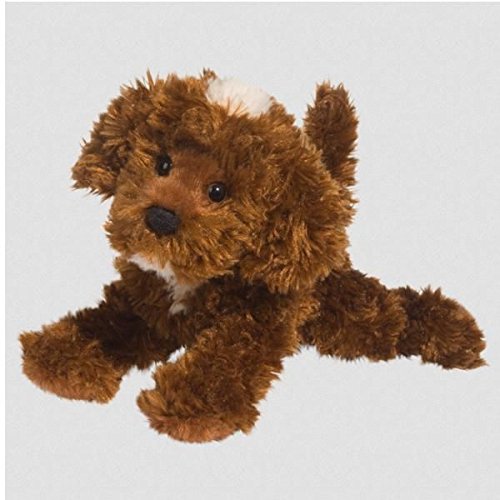Chocolate Labradoodle 8