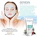 Purifying Clay Face Mask - Natural Anti-Aging Formula with Cranberry, Passionflower, Willow Bark, Bentonite and Kaolin for Men & Women (1 Tube)
