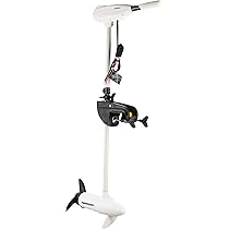 Amazon.com: Newport L-Series 39.0 kg Transom מותקן מים מלוחים מנוע ...