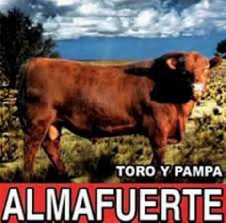 Toro y Pampa Almafuerte Amazon.fr CD et Vinyles}