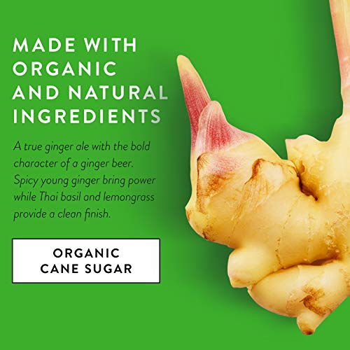 Mixwell Young Ginger Ale Premium Mixer for Drinks Made with Organic