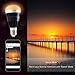 MagicLight Pro WiFi Smart LED Light Bulb - Smartphone Controlled Sunrise Wake Up Lights - Dimmable Multicolored Color Changing Seasonal Celebration Lighting - Compatible with Alexa - 10 Watts