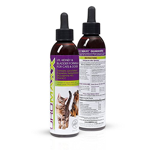2 UroMAXX+Urinary+Kidney+Bladder+Formula