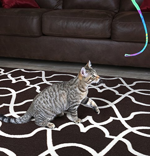 Cat Dancer Charmer Toy - Image 6