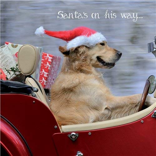 Golden Retriever Charity Christmas Cards Santa's On His Way - Pack of 10