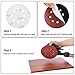 61Pcs Sanding Discs Set, Drillpro 60pcs 5 Inch 8 Holes Hook and Loop, 60/80/120/180/240/320 Grit Sandpaper + 1 Piece PU Backing Pad for Random Orbital Sander