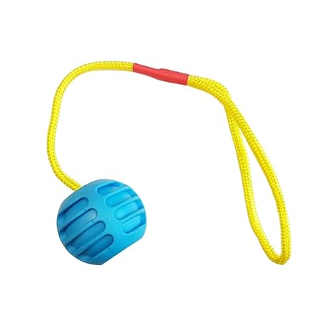 Pelota de goma dura con cuerda - Juegos para perro, de goma ...