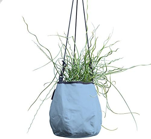 Water Creations Deco Planter Hanging Pot for Home and Garden, for use with Aquatic Plants, Herbs, and more, 9-Inch, Blue