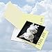 The Best Card Company - 10 Blank Yoga Note Cards (4x 5.12 Inch) - Boxed Notecards with Envelopes, Cute Animal Cards, Zen Assortment - Cat Yoga MQ4952OCB-B1x10