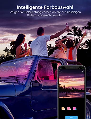 Govee LED Interior Lighting Car, 4 Pieces, 48 Strip, Upgrade Two-Line Design, Waterproof Lighting App Controllable Multicoloured Music with Cigarette Lighter, 12 V | 16M DIY-Farben, 4pcs 48 Strip Zigarettenanzünder mit Speicherfunktion, Wasserdichte, Kurzschlussschutz, SUV & Limousine, 12V