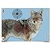 Birchwood Casey 35405 Pre Game Coyote 16.5 x 24 Target, 3-Pack