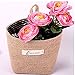 FANTASIEN 4 Pack Toy Storage Bag Bear Pattern Organizers for Kids Toys, Baby kids Clothing, Children Books, Gift Bag