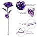 ProCIV Purple Rose, Gold Foil 24k Rose Flowers in Gift Box, Best Gift for Mother's Day, Valentine's Day, Wedding Day, Birthday, Christmas, Thanksgiving, Home Decor