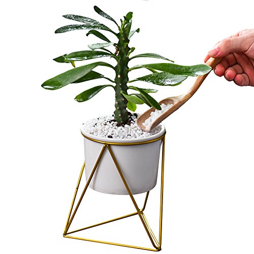 Planter Pots Indoor,Y&M(TM) 6 inch Modern Garden White Ceramic Round Bowl with Metal Air Plant Stand for Succulent Planter Cactus (White + Gold)